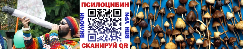 цена наркотик  Сертолово  Галлюциногенные грибы ЛСД 
